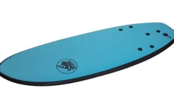 Buster Puffy Puffin 4'8 Softboard