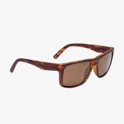 Elektrische Schwingen-Sonnenbrille