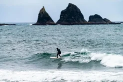 Lib Tech Pickup Stick Surfbrett 6'6