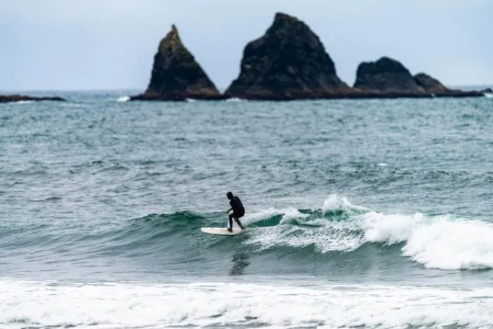 Lib Tech Pickup Stick Surfbrett 6'6