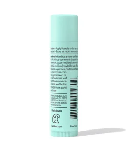 Sun Bum CocoBalm Feuchtigkeitsspendender Lippenbalsam Ocean Mint