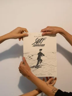 The Beginners Surf Companions Buch