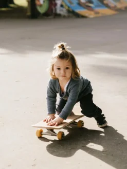 Tricks Dinos 8.25″ Komplett-Skateboard Kinder