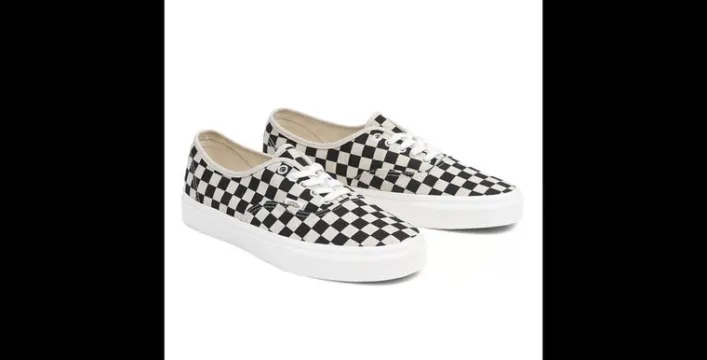 Vans Eco Theory Authentic Schuh