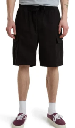 Vans Range Cargo Loose Short