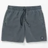 Volcom Center Trunk Shorts