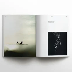 WAVES AND WOODS - Ausgabe 40